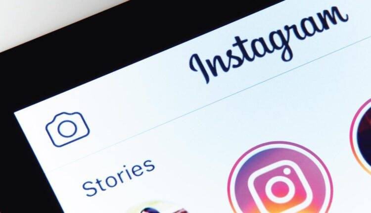 زيادة متابعين انستقرام مجانا